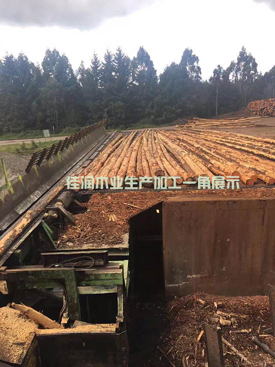 佳潤木業(yè)生產(chǎn)加工一角.jpg